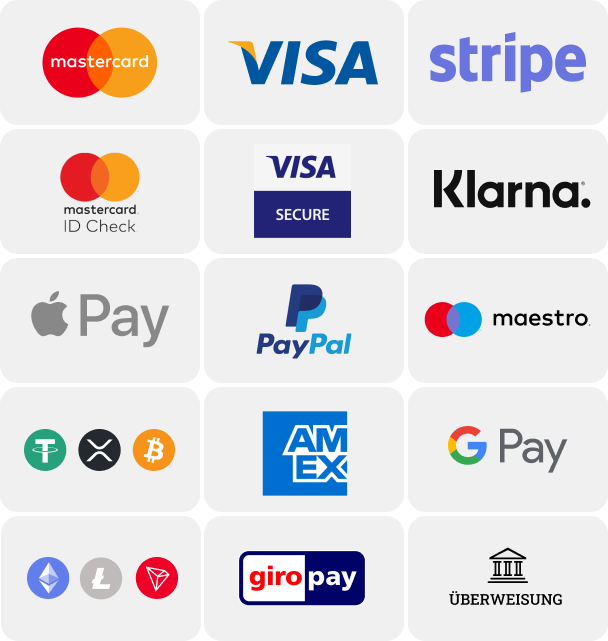 StudiBucht akzeptiert folgende Zahlungsmittel: Mastercard, Google Pay, Visa, Apple Pay, Überweisung, Kryptowährung, usw.