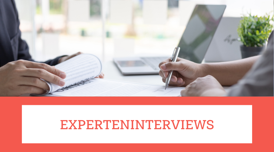 experteninterviews